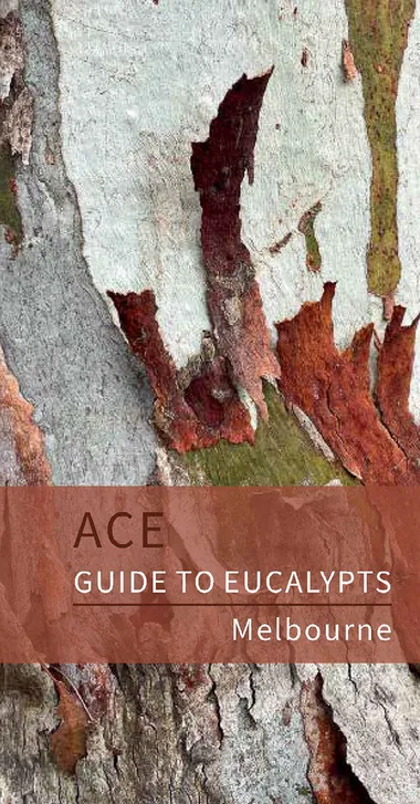 Cover of the ACE Guide to Eucalypts Melbourne — eucalypt bark peeling in layers of grey, white, and rust